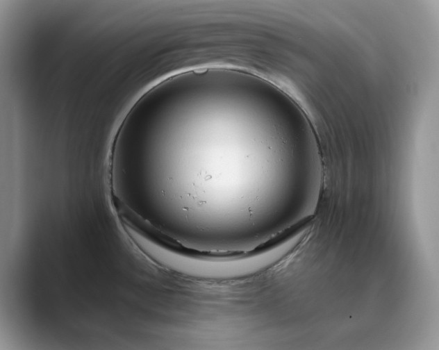 X0000089661532200707051520
