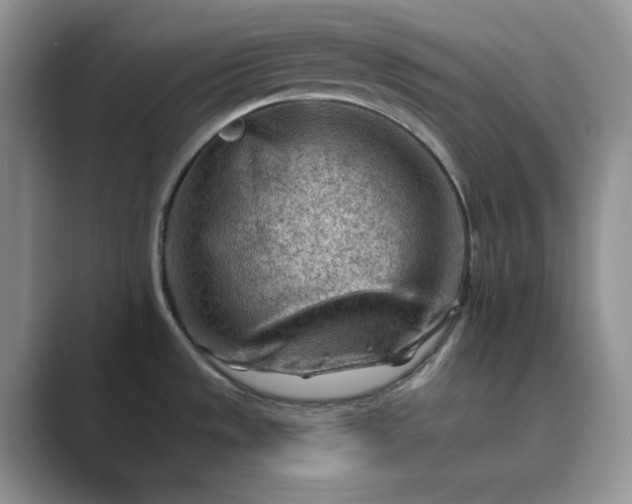 X0000089661533200707051520