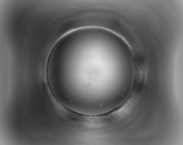 X0000089661534200707051520
