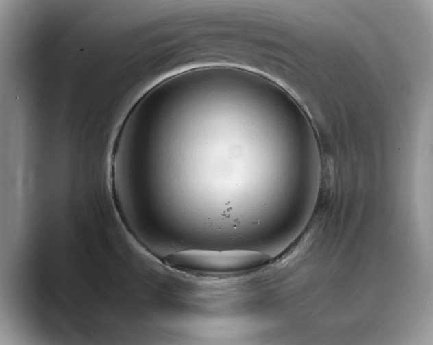 X0000089661535200707051520