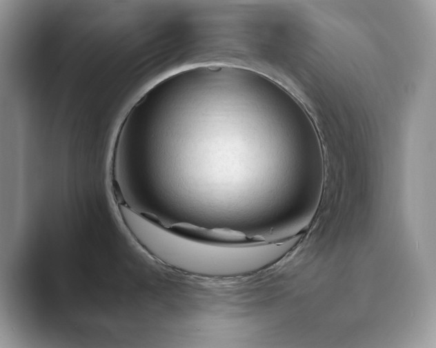 X0000089661536200707051520