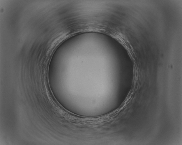 X0000089660001200707121210