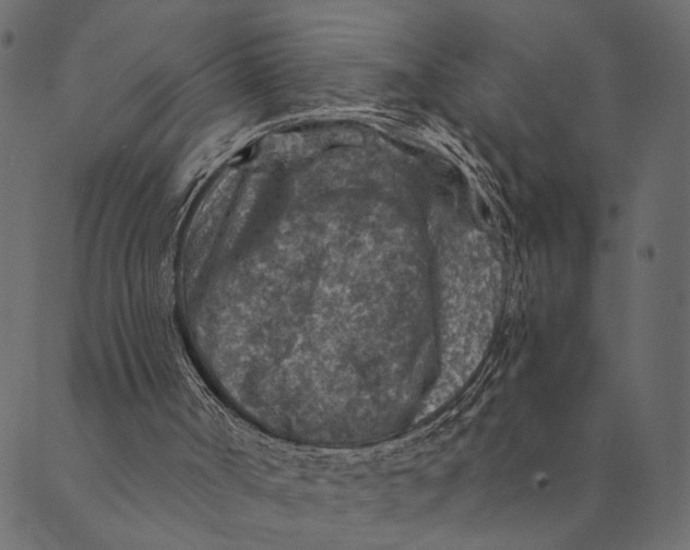 X0000089660002200707121210