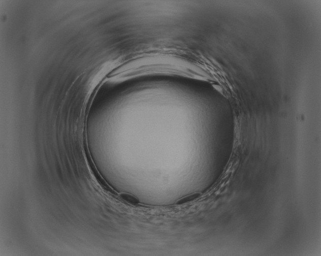 X0000089660003200707121210