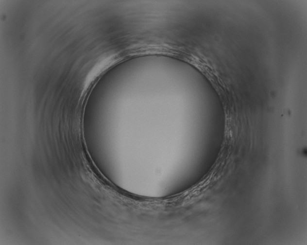 X0000089660004200707121210