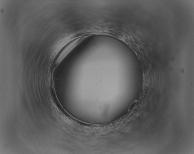 X0000089660005200707121210