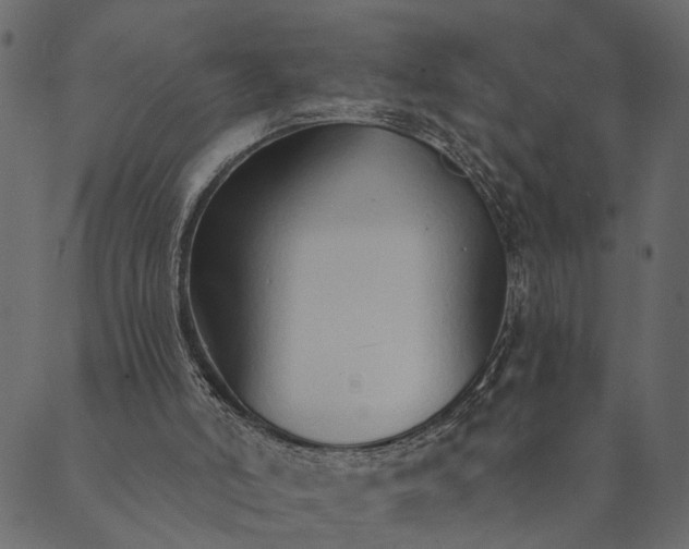 X0000089660006200707121210