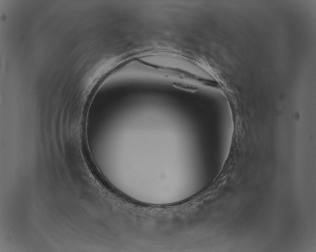 X0000089660007200707121210