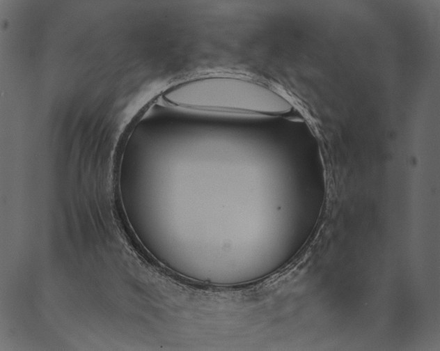 X0000089660008200707121210