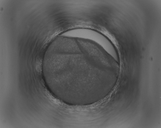 X0000089660009200707121210