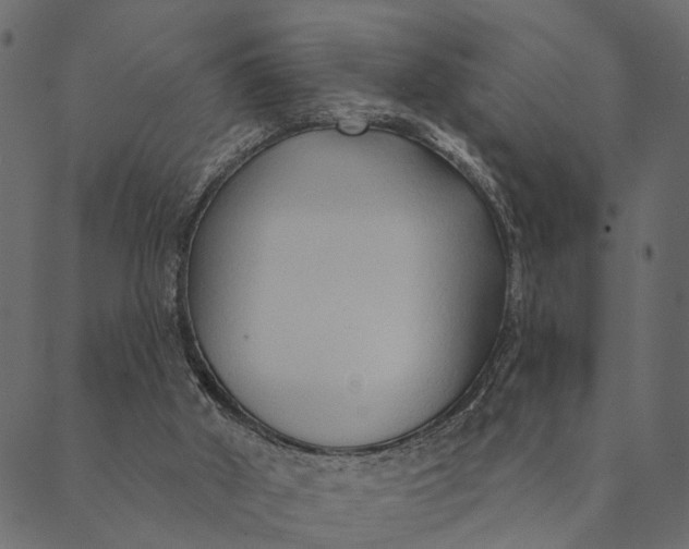 X0000089660010200707121210