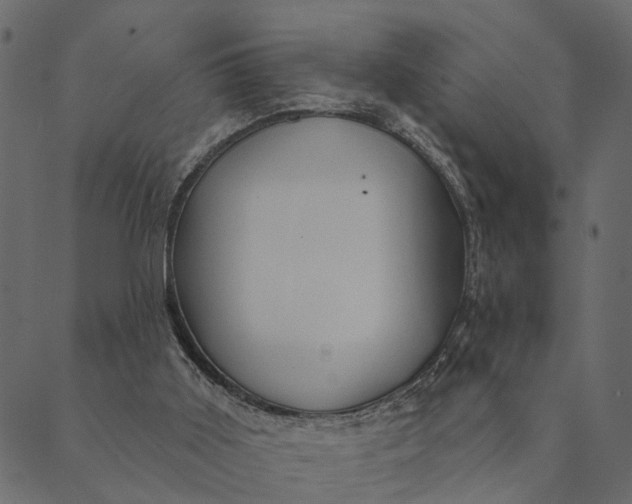 X0000089660011200707121210