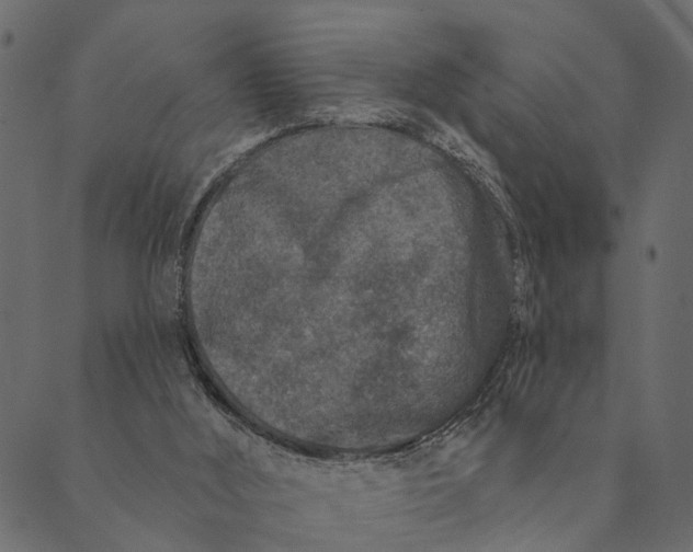 X0000089660012200707121210