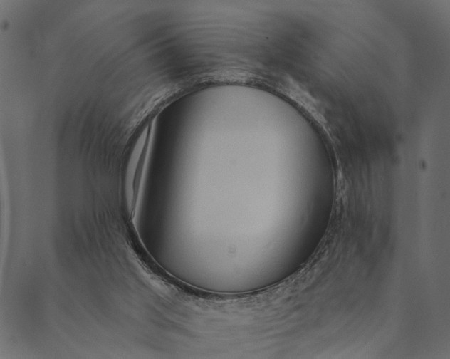 X0000089660013200707121210