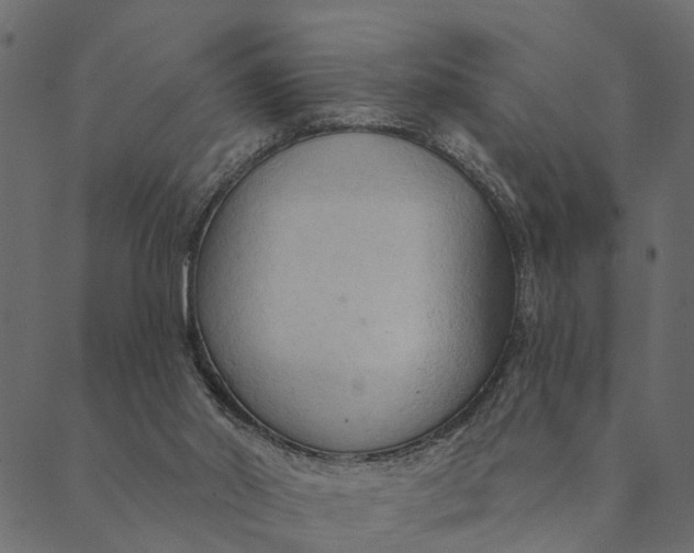 X0000089660014200707121210