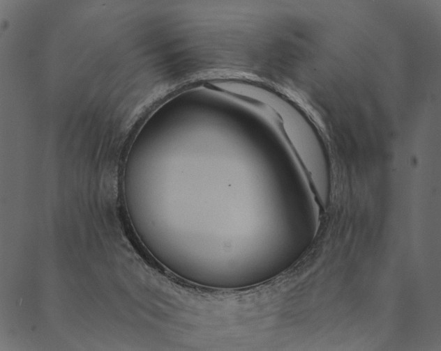 X0000089660015200707121210