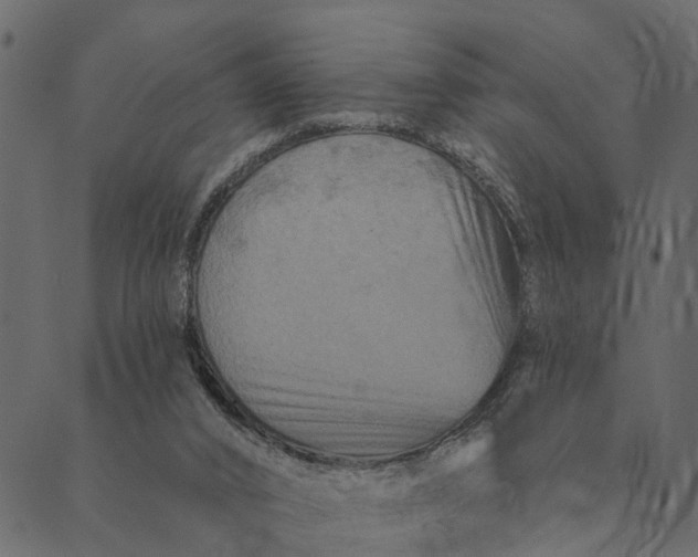 X0000089660016200707121210