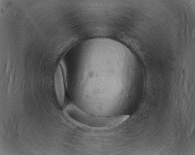 X0000089660017200707121210