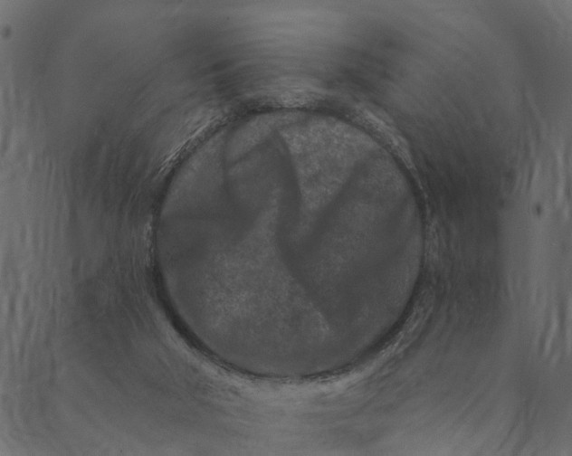 X0000089660018200707121210