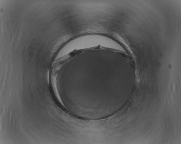 X0000089660019200707121210