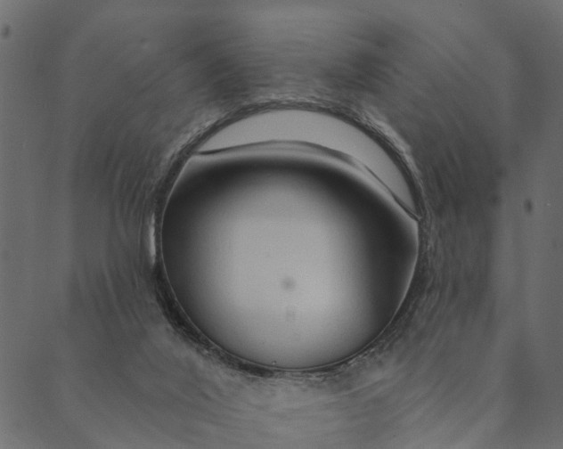 X0000089660020200707121210