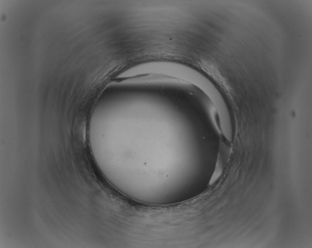 X0000089660021200707121210