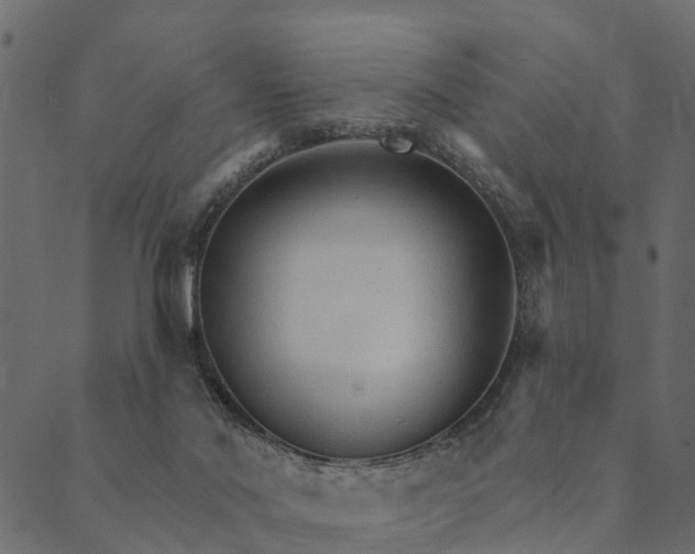 X0000089660022200707121210