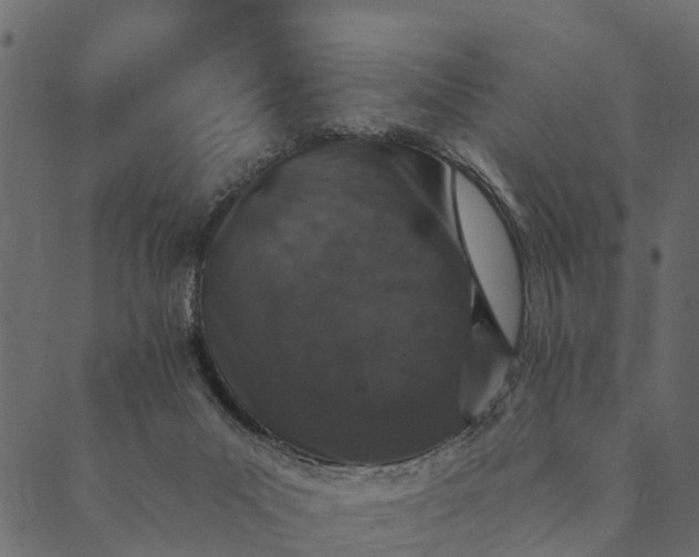 X0000089660023200707121210