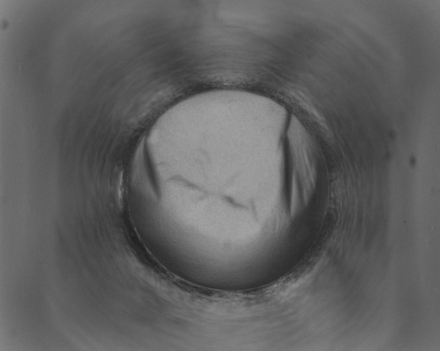 X0000089660024200707121210