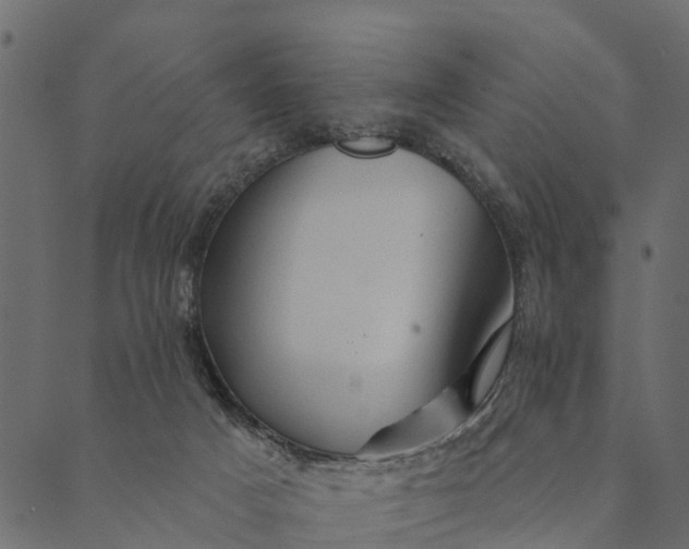 X0000089660025200707121210