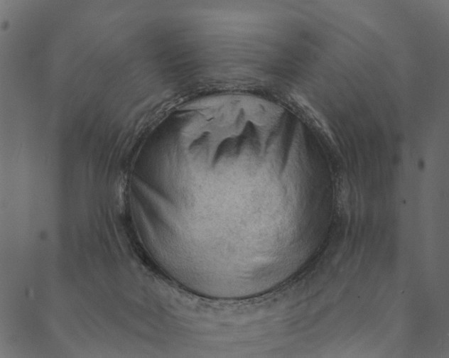 X0000089660026200707121210