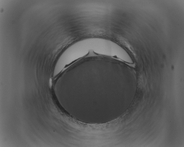 X0000089660027200707121210