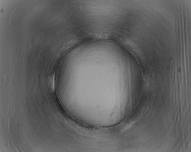 X0000089660028200707121210