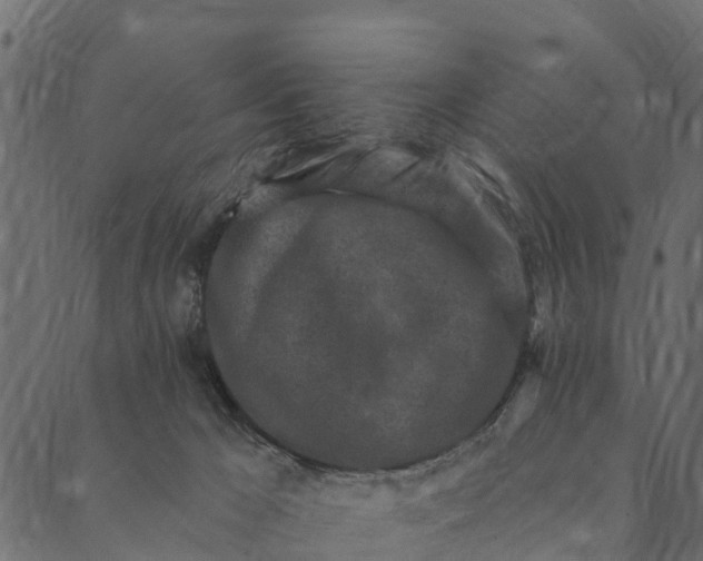 X0000089660029200707121210