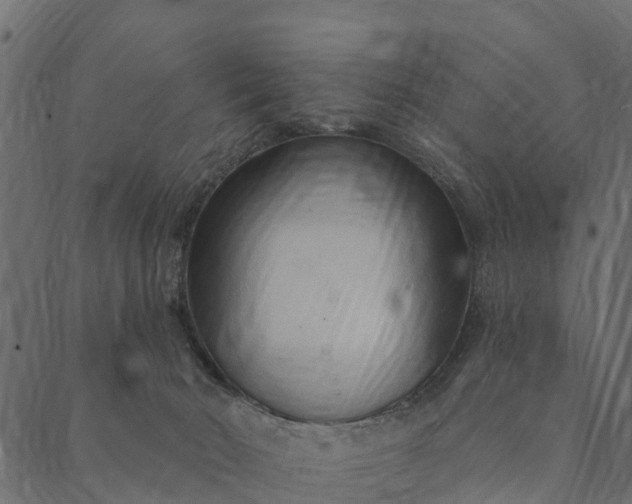 X0000089660030200707121210