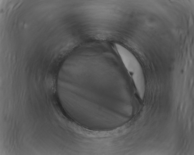 X0000089660031200707121210