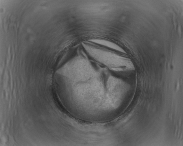 X0000089660032200707121210