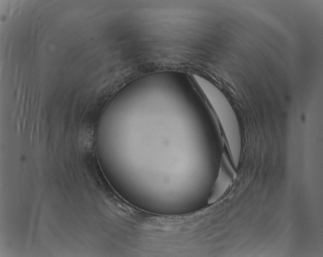 X0000089660033200707121210