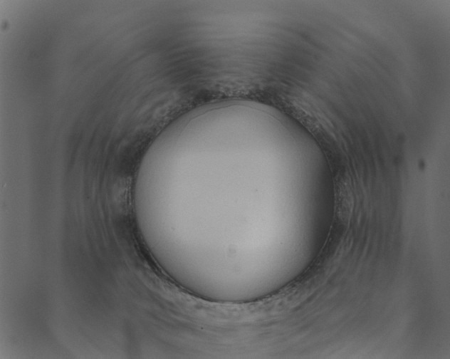 X0000089660034200707121210