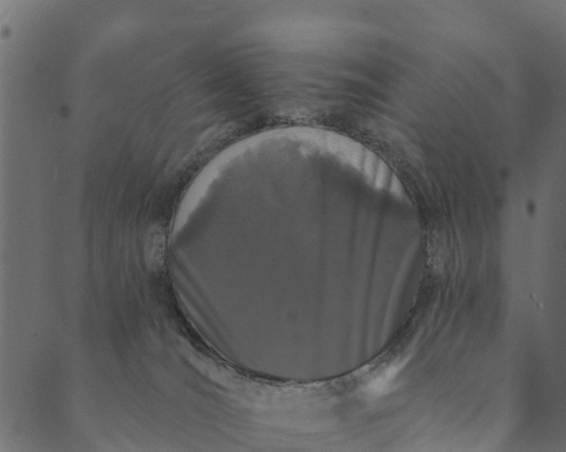 X0000089660036200707121210