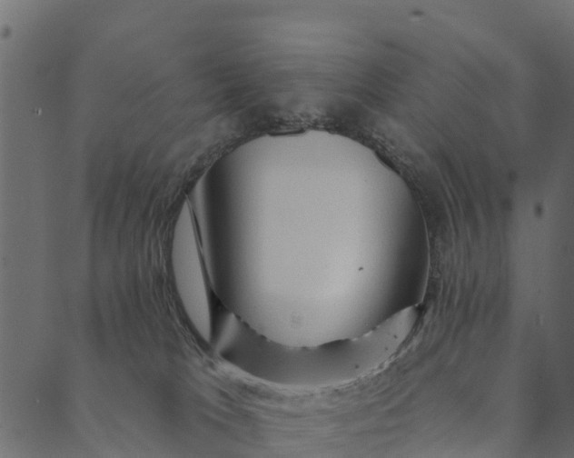 X0000089660037200707121210