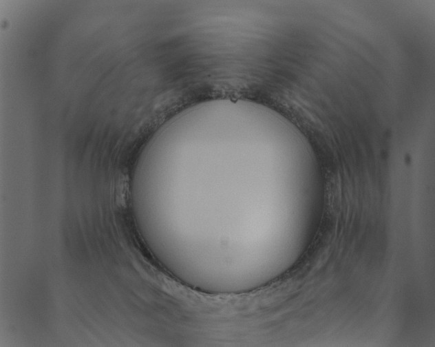 X0000089660038200707121210