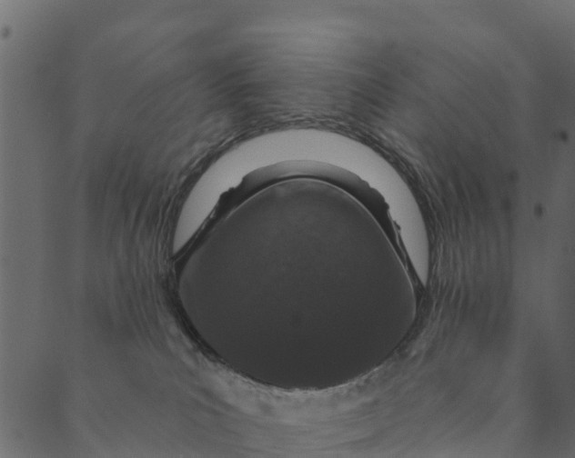 X0000089660039200707121210