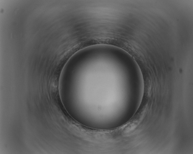 X0000089660040200707121210