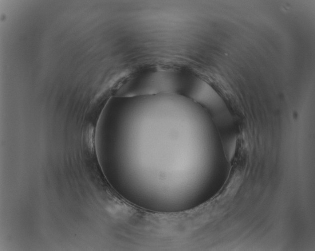 X0000089660041200707121210