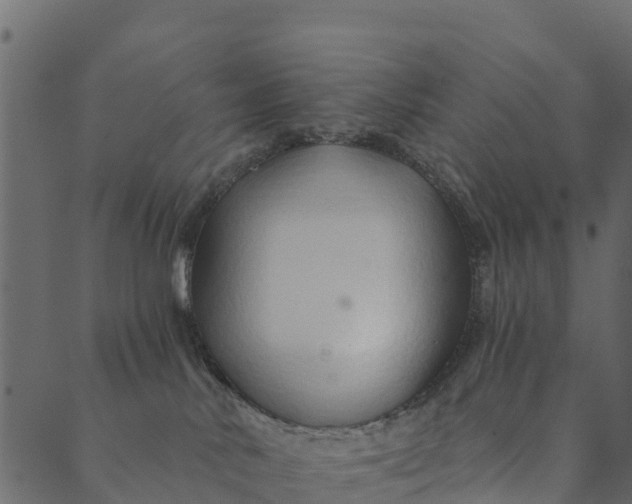 X0000089660042200707121210