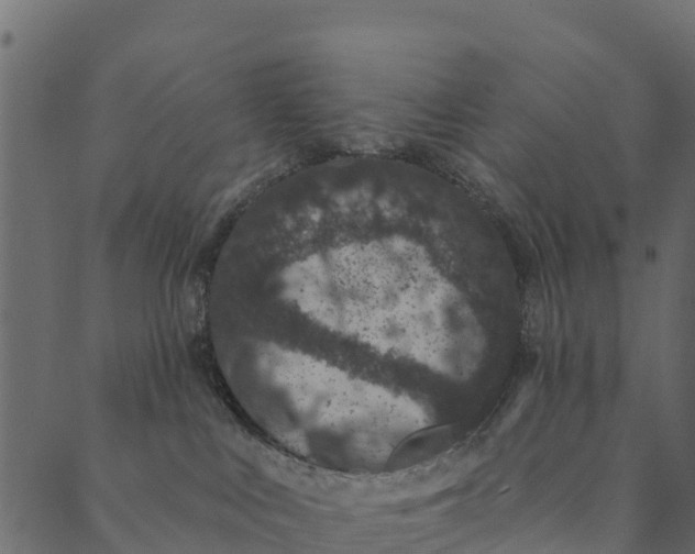 X0000089660043200707121210