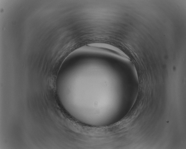 X0000089660044200707121210