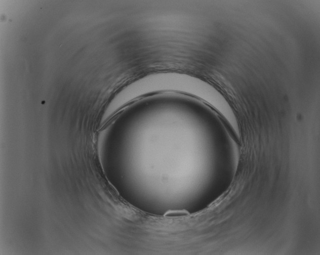 X0000089660045200707121210