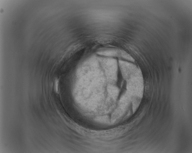 X0000089660046200707121210